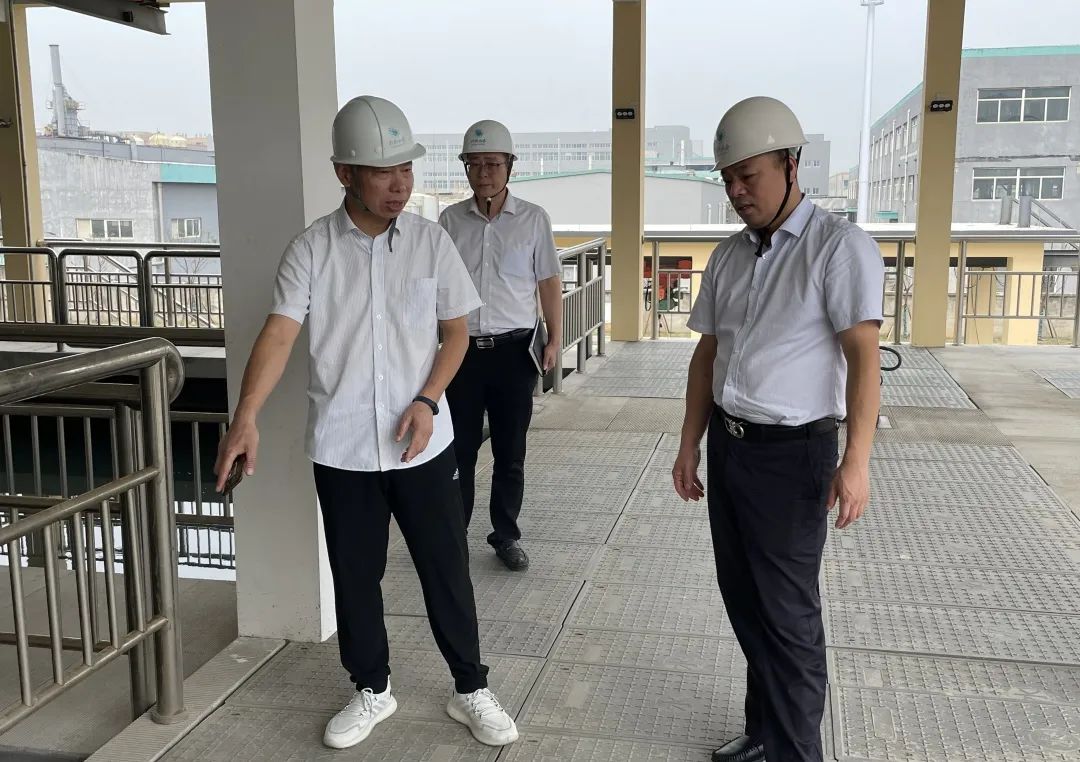 1665645639271554.jpg 1665645639271554.jpg